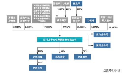 龍華薄膜 新三板退市轉戰創業板，技術短板與會計隱憂成挑戰