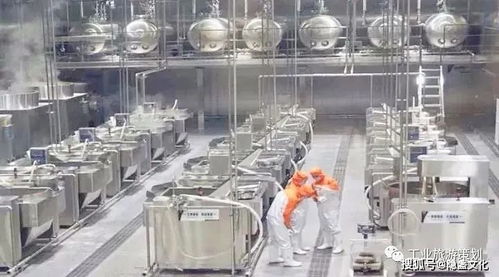 我是甜野男孩丁真,我為工業旅游代言