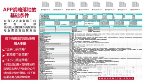 成熟品牌營銷突破 金光app與中網品牌策劃的品牌戰略咨詢