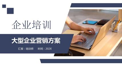 大型企業(yè)營(yíng)銷(xiāo)方案ppt